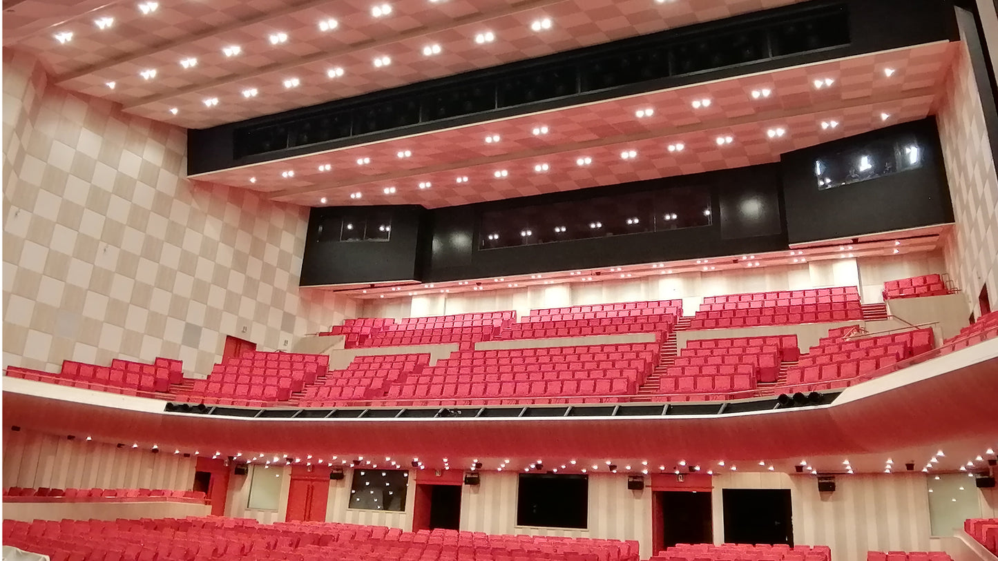 講演（講演家として）